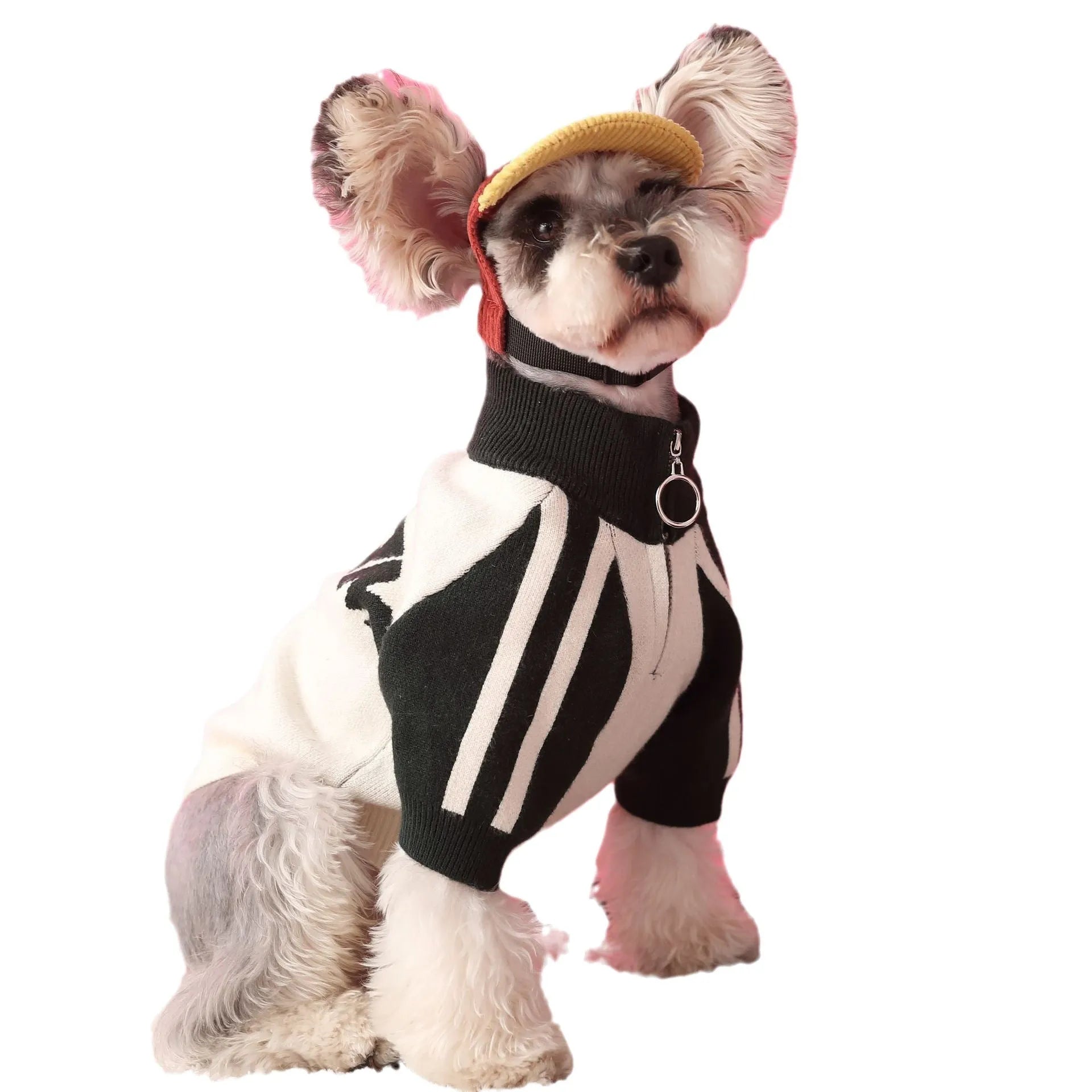 Wool dog sports cardigan sweater in dark green or red on canine model