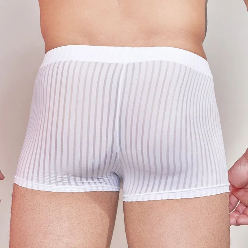 Men's striped transparent boxer briefs in black, white, and dark grey on a plain background.