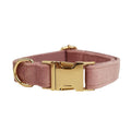 Light purple pink velvet dog collar with cloth construction and adjustable sizing options