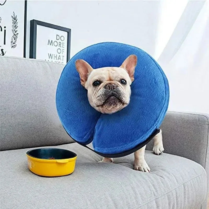 Blue inflatable pet recovery collar shown beside size chart with five measurement options