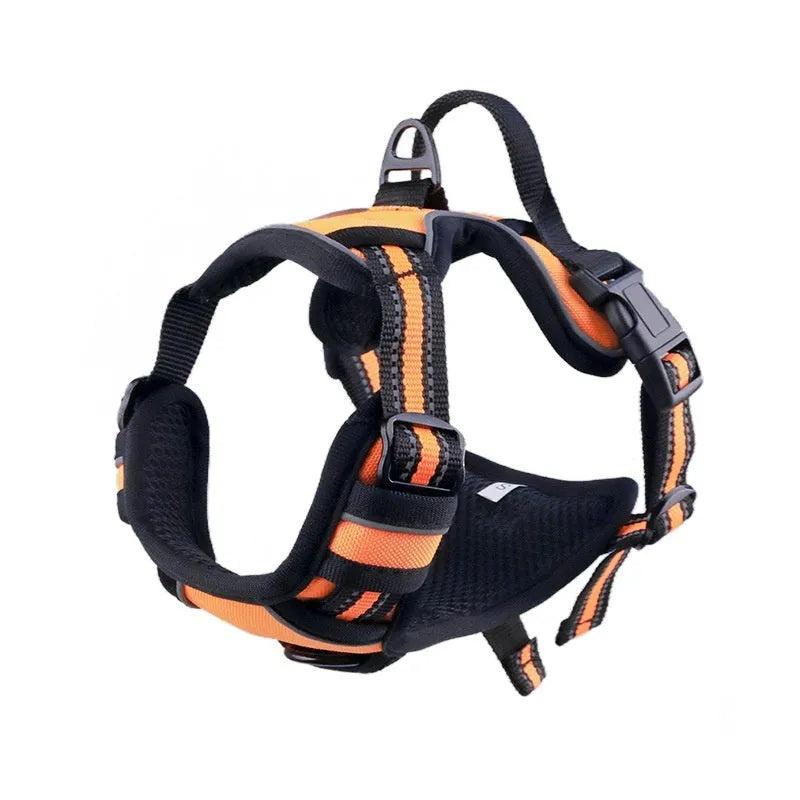 Adjustable Oxford cloth dog harness with a control handle on the strap, shown in a choice of colours.
