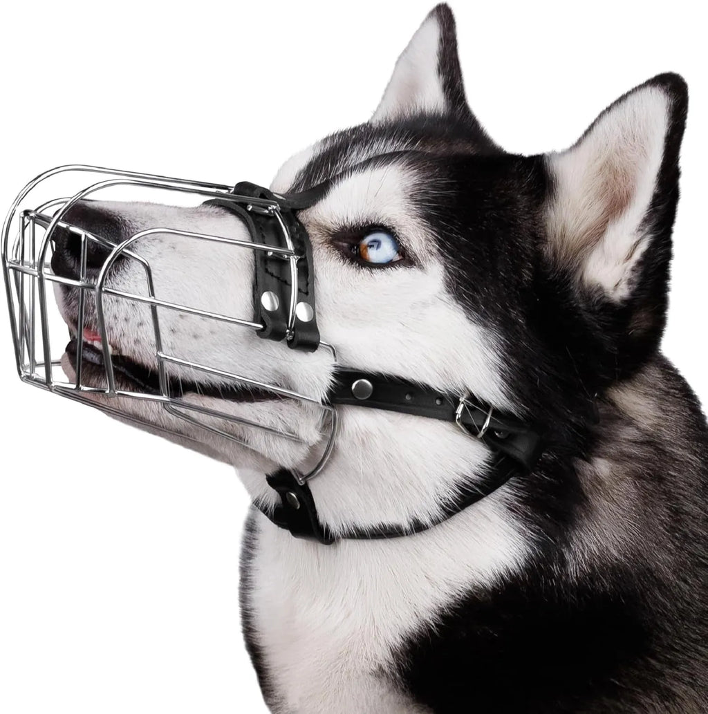 Black metal basket muzzle for large breed dogs, specifically for Golden Retrievers and German Shepherds.