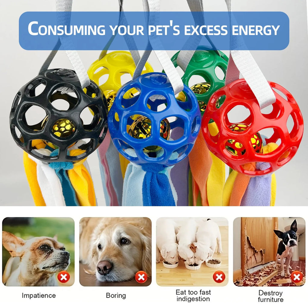 Colourful hollow TPR ball pet toy for dogs and cats with a bell inside