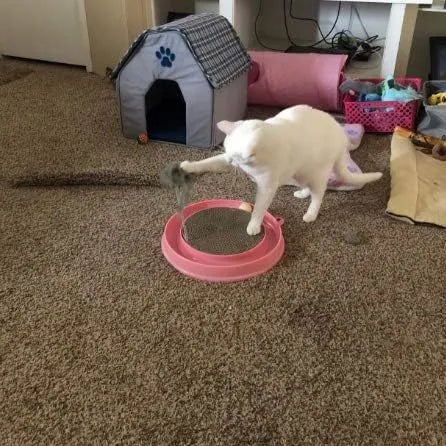 Blue interactive cat scratcher with ball track and replaceable scratch pad measuring 40cm