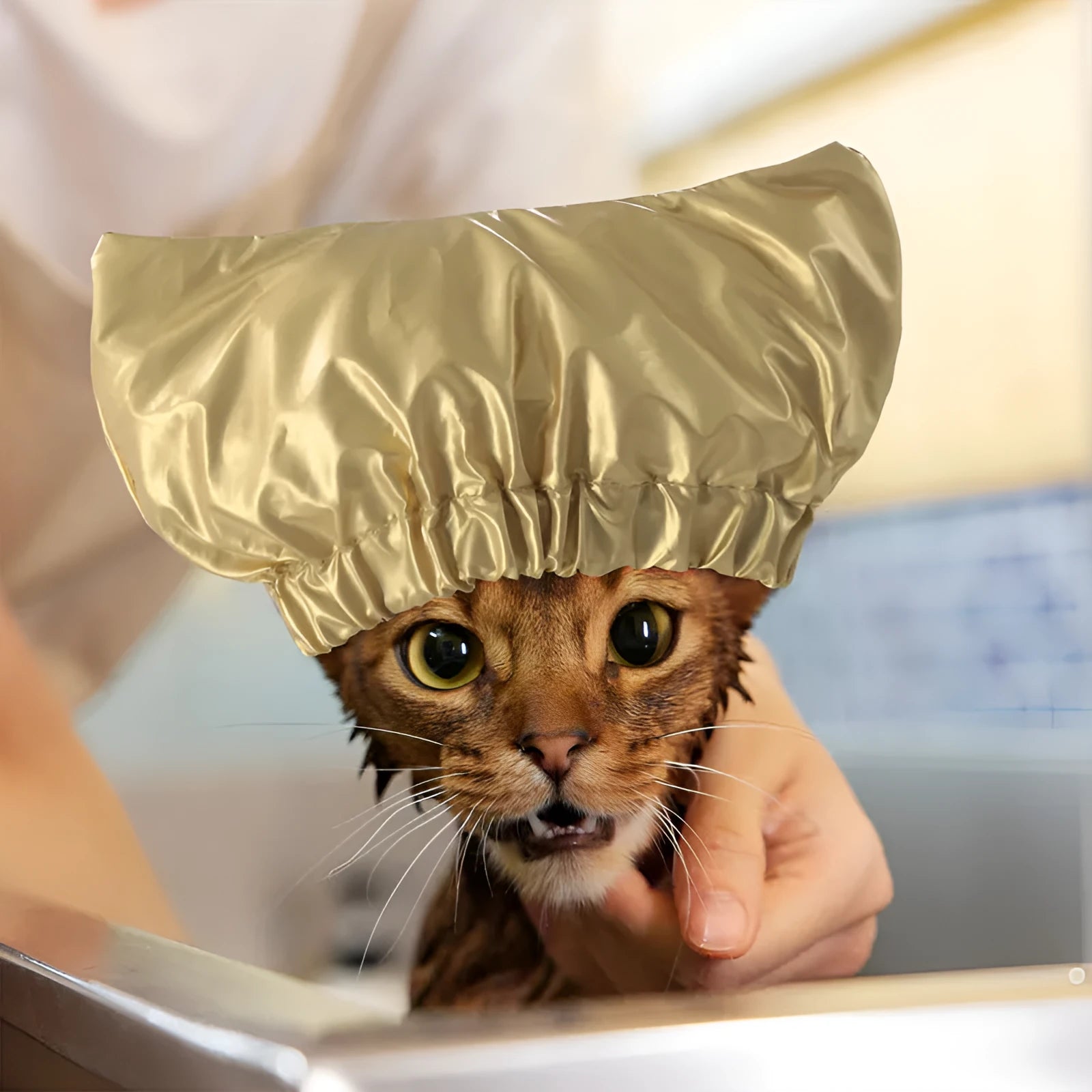 Pet shower cap for dogs and cats in gold colour with adjustable ear protection