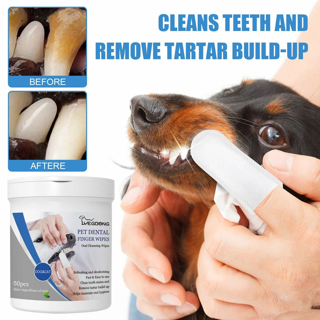 Can of dog dental cleaning wipes with finger stall applicator for pet teeth oral care