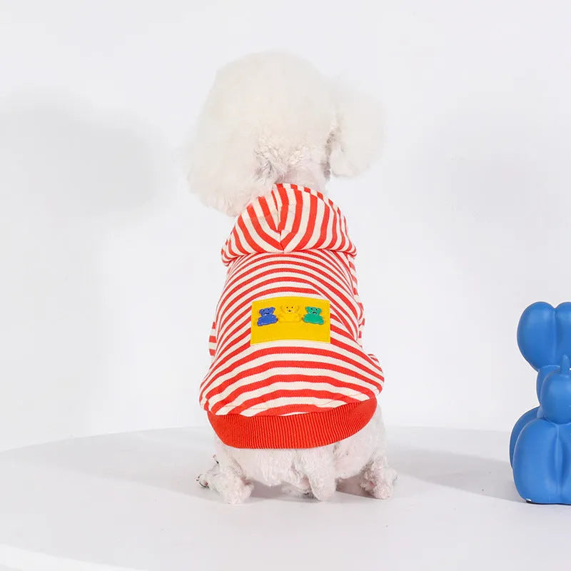 Orange cotton hooded dog sweater on a mannequin, showing Japanese Korean style.