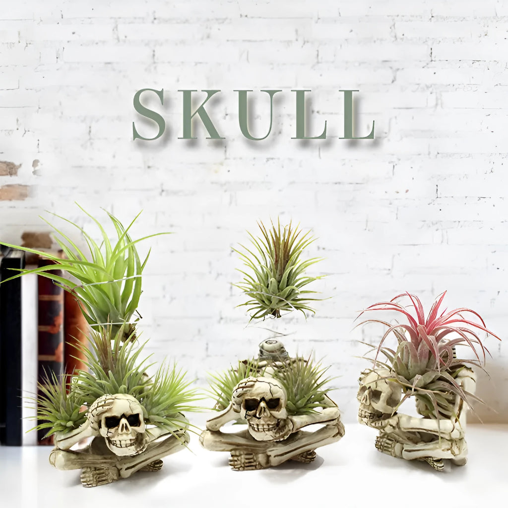 Gothic style resin skull air plant bracket with iron mounting base for tillandsia display