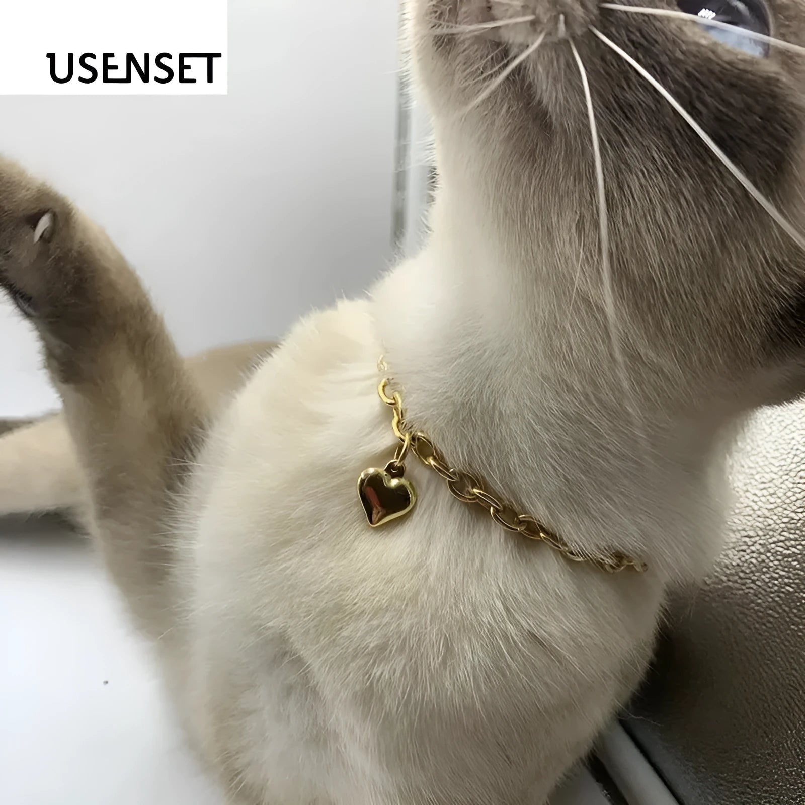 Stainless steel necklace with love heart pendant and cat dog charm in gold or silver finish