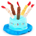 Adjustable dog birthday hat for small breeds in pink or blue colour with elastic strap