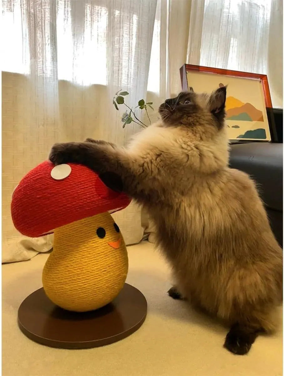Foldable accordion cat scratcher with round mushroom lounge measuring 35x30x30cm
