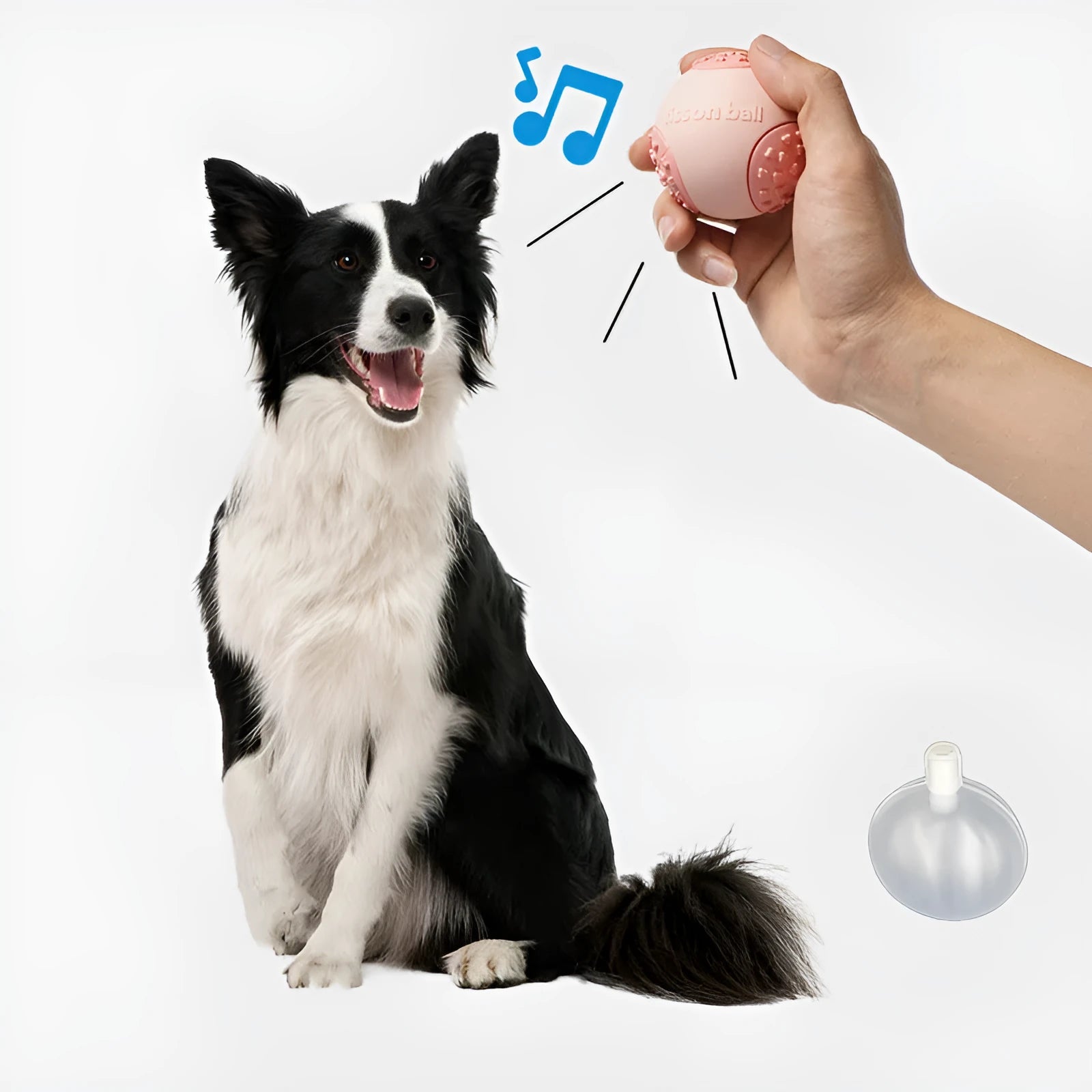 Green and pink rolling ball dog toys showing 64mm diameter size for interactive pet play