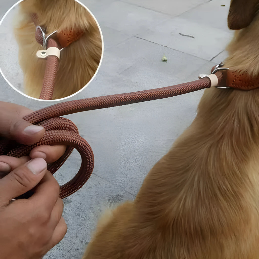 Brown nylon dog leash with a metal P-chain clip and a braided hand holding rope, shown at full 2.1 metre length.