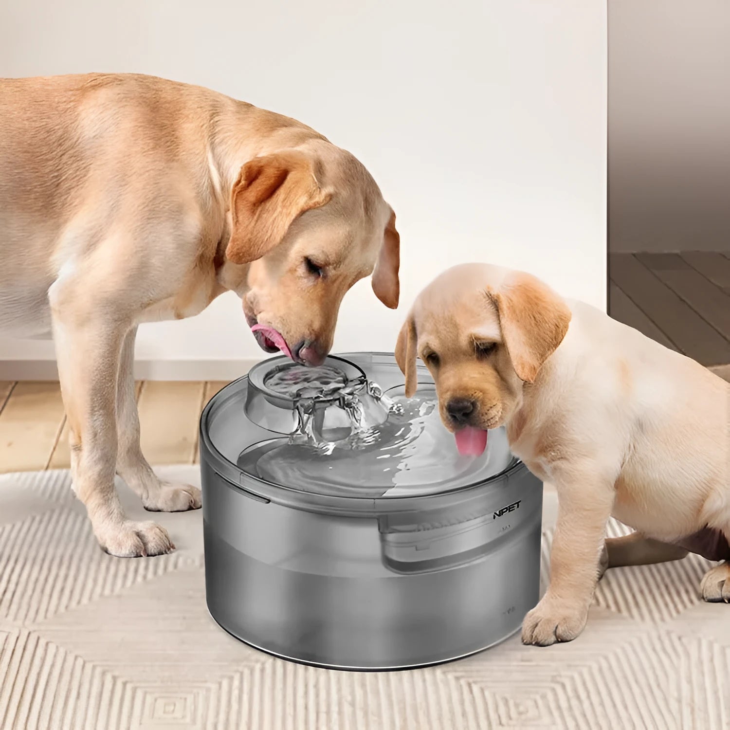 Automatic pet water fountain with filtration system for cats and dogs in 5L or 8L capacity