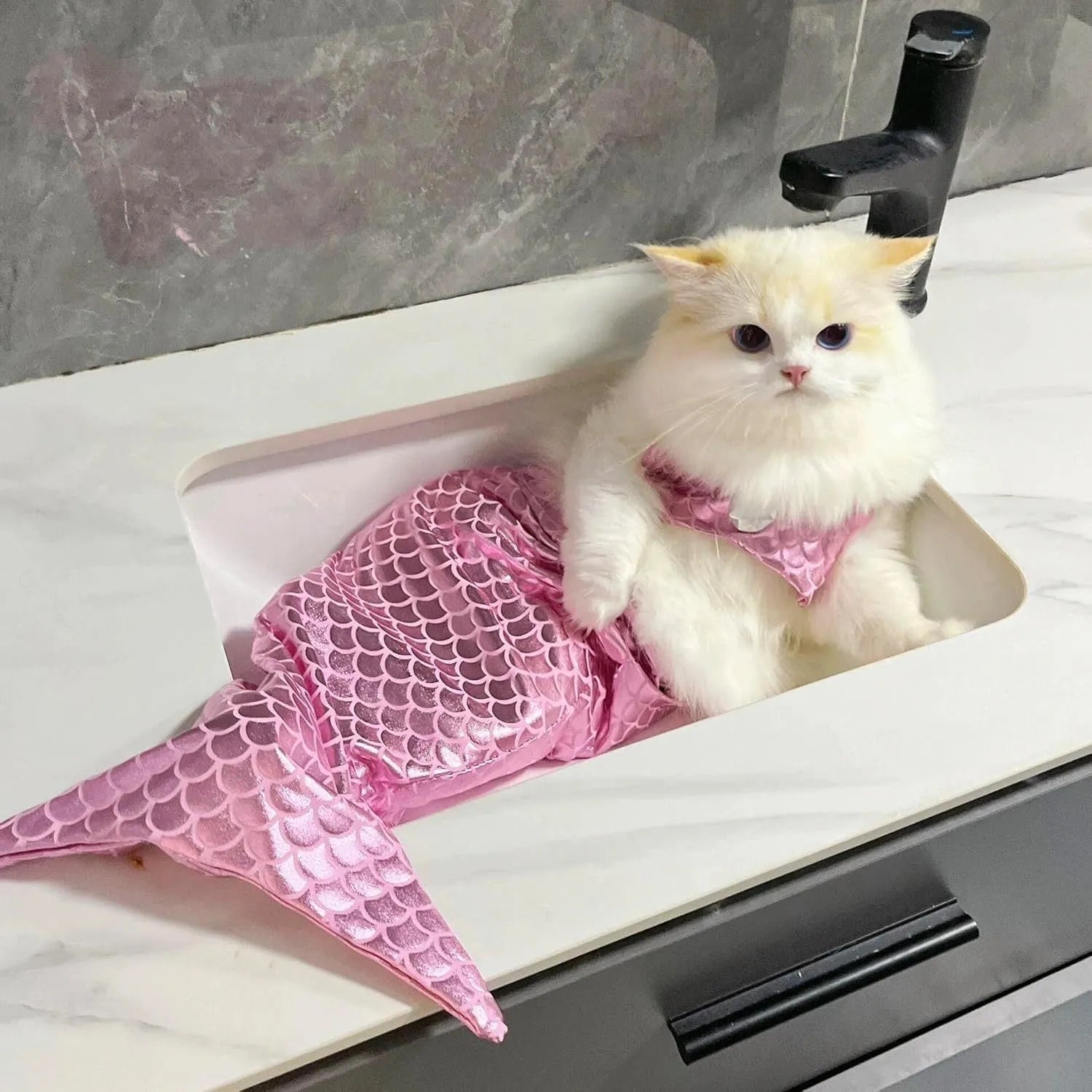 Blue pet mermaid costume with fish tail and elastic chest strap on small dog