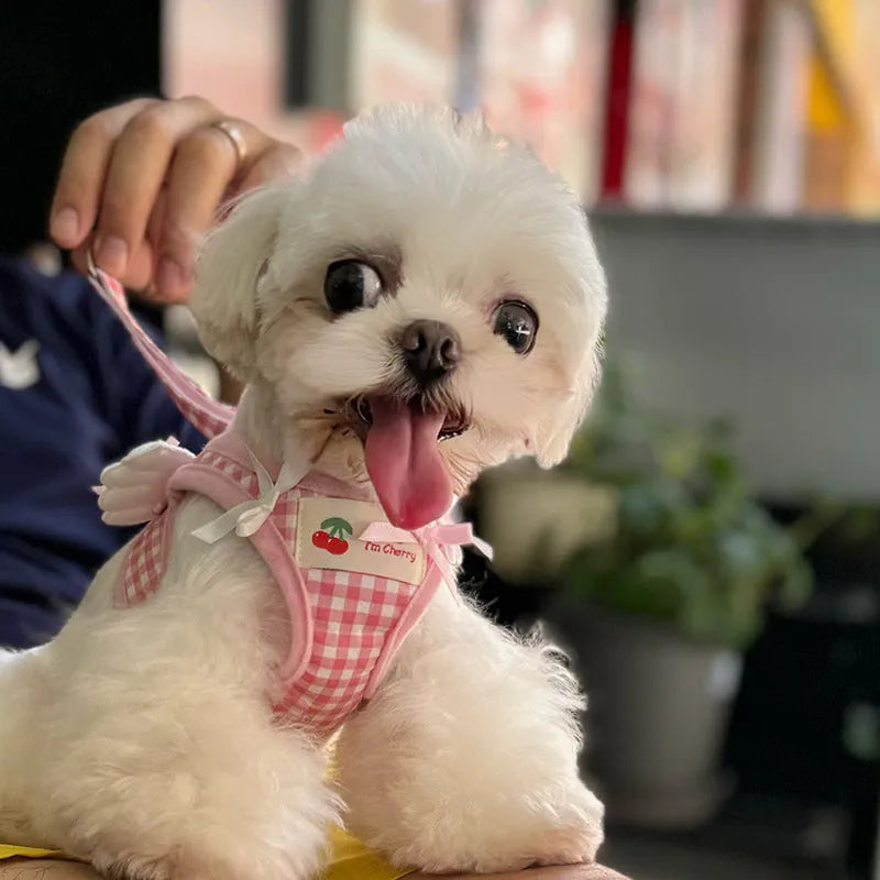 Small dog wearing pink cotton harness with chest and back leash attachment points