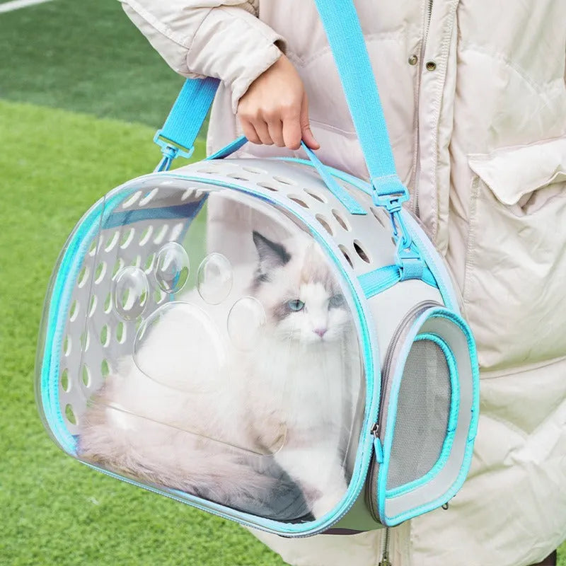 Large transparent hard-shell cat backpack carrier in grass green colour, showing dimensions.