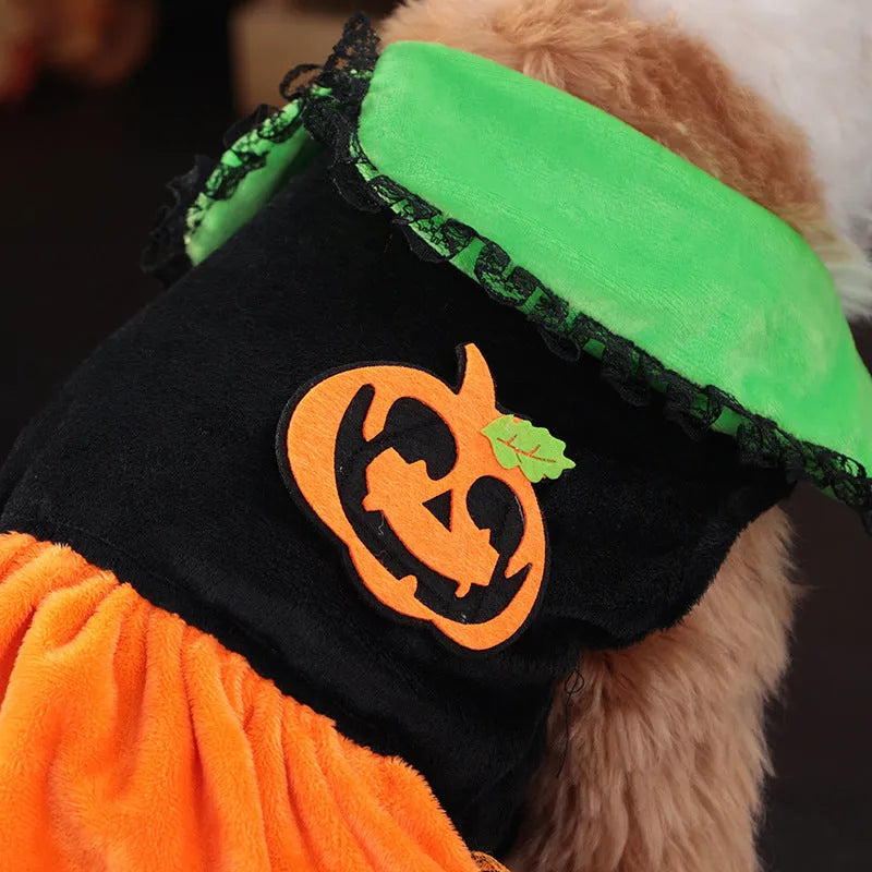 A dog wearing a crystal velvet Halloween pumpkin skirt costume, showing the soft fabric and festive design.