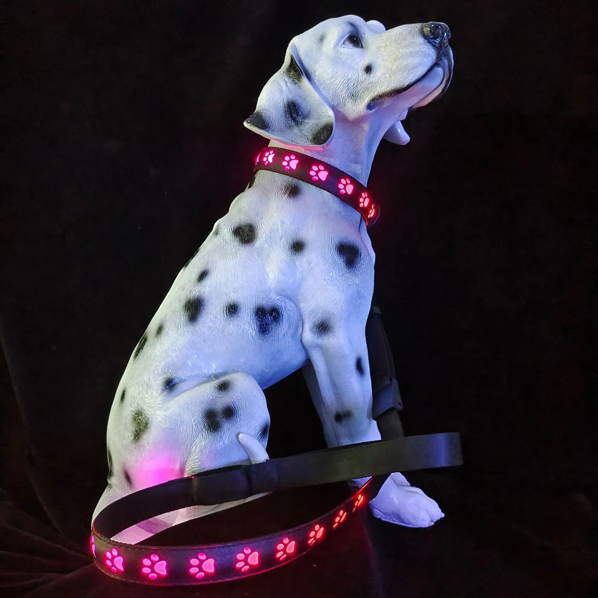 A dog wearing a black polyester LED collar emitting multi-coloured light, showing the adjustable buckle and USB charging port.
