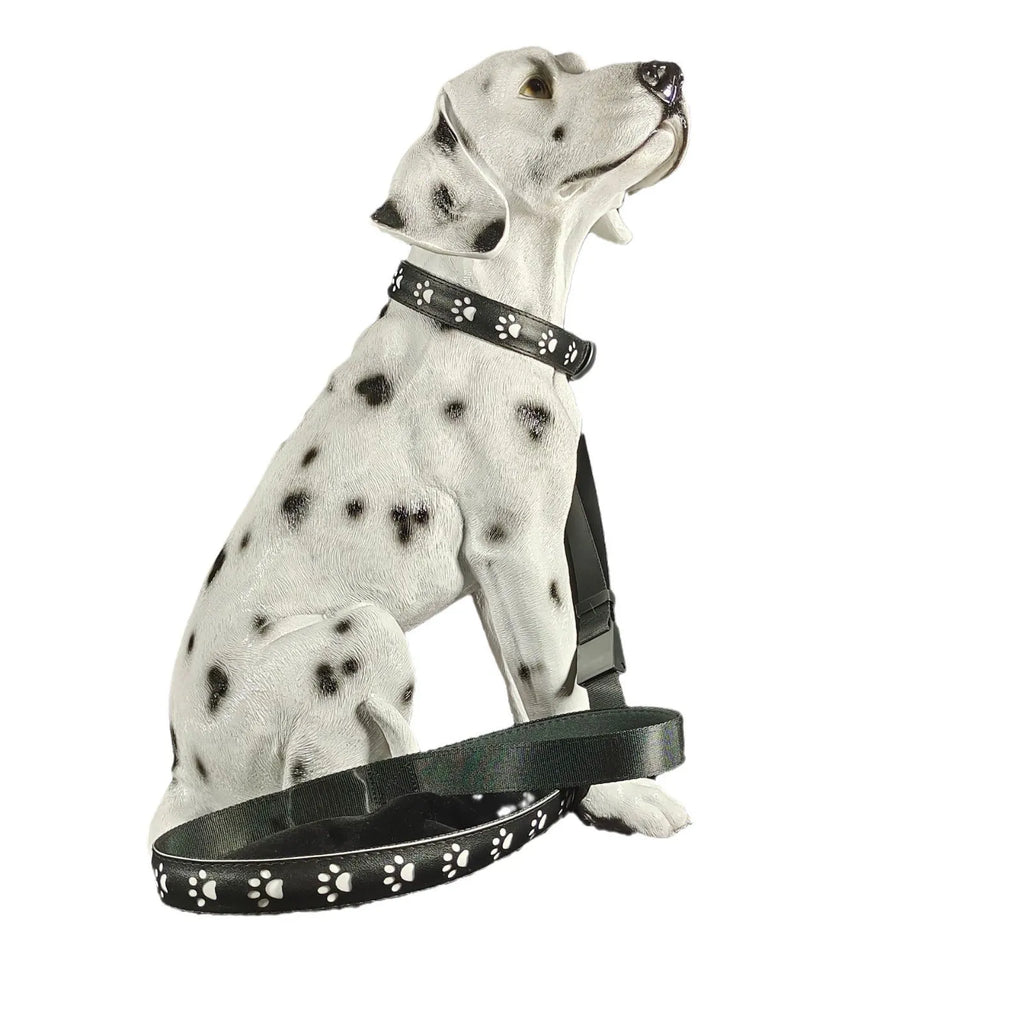 A dog wearing a black polyester LED collar emitting multi-coloured light, showing the adjustable buckle and USB charging port.