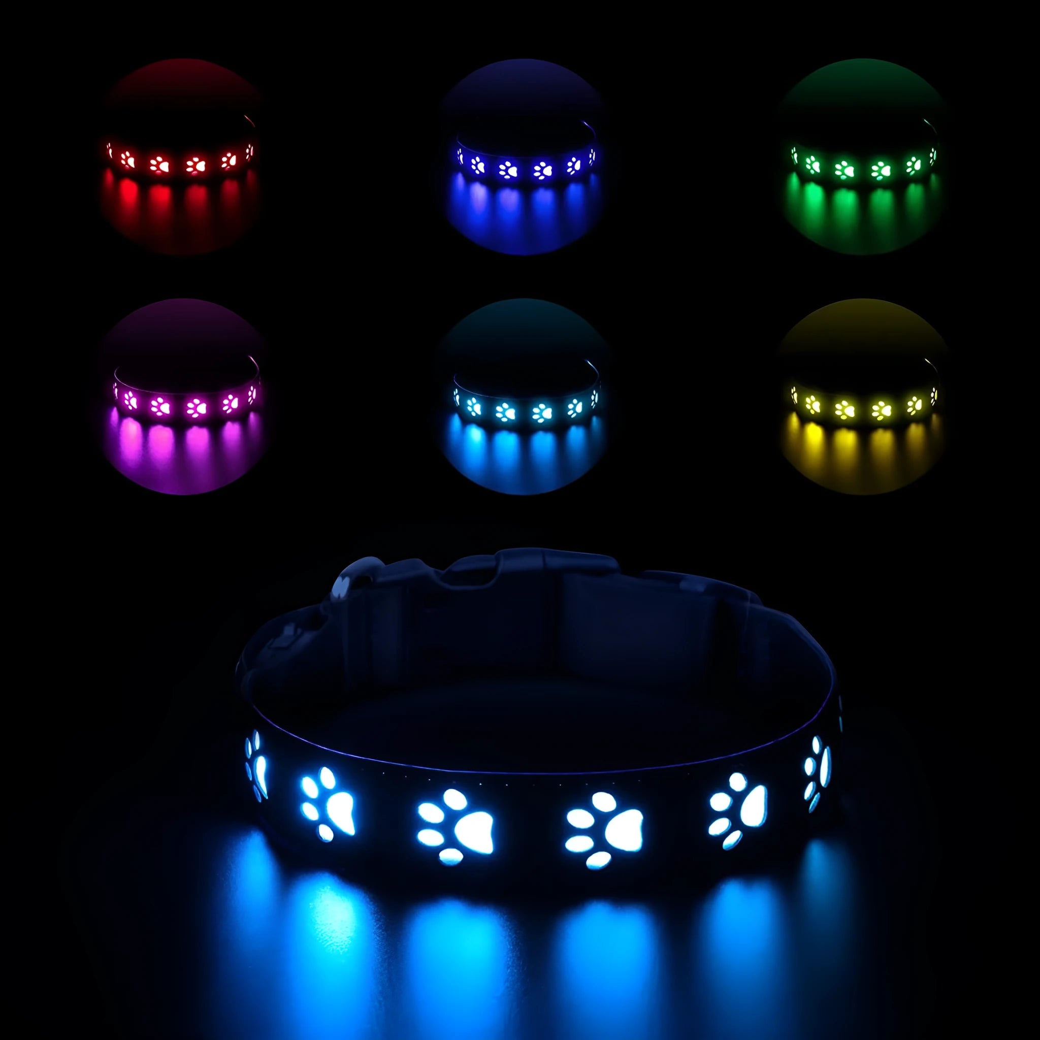 A dog wearing a black polyester LED collar emitting multi-coloured light, showing the adjustable buckle and USB charging port.