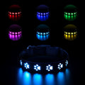 A dog wearing a black polyester LED collar emitting multi-coloured light, showing the adjustable buckle and USB charging port.