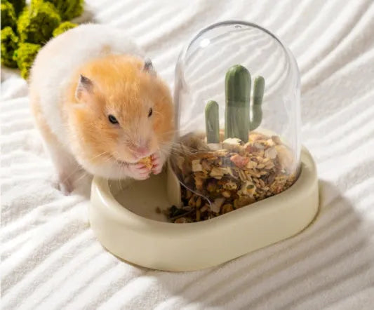 Creative cactus design hamster automatic feeder with transparent food compartment in mint green colour