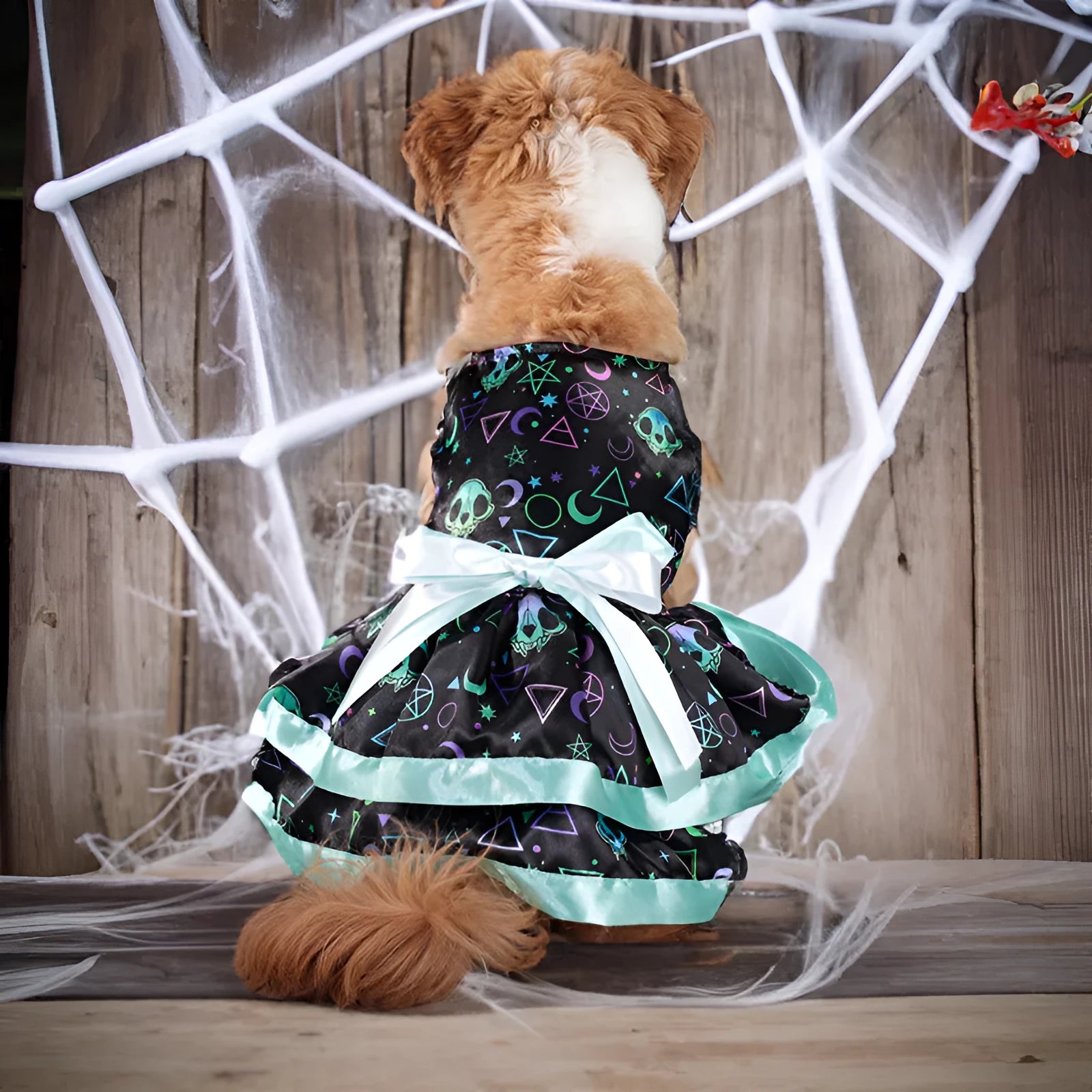 Halloween dog skirt with colourful pumpkin or skull design in polyester