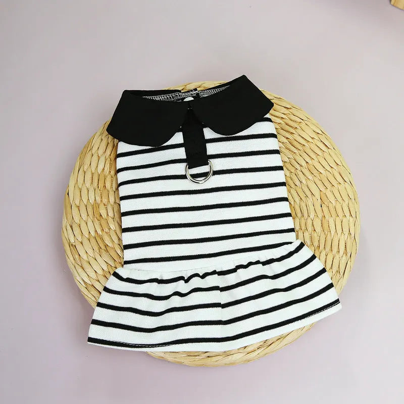 Pet wearing striped cotton T-shirt and skirt summer outfit in casual style