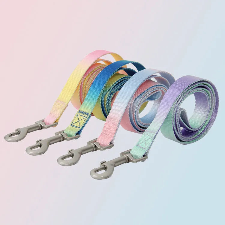 Gradient colour nylon dog leash set with collar or harness attachment options