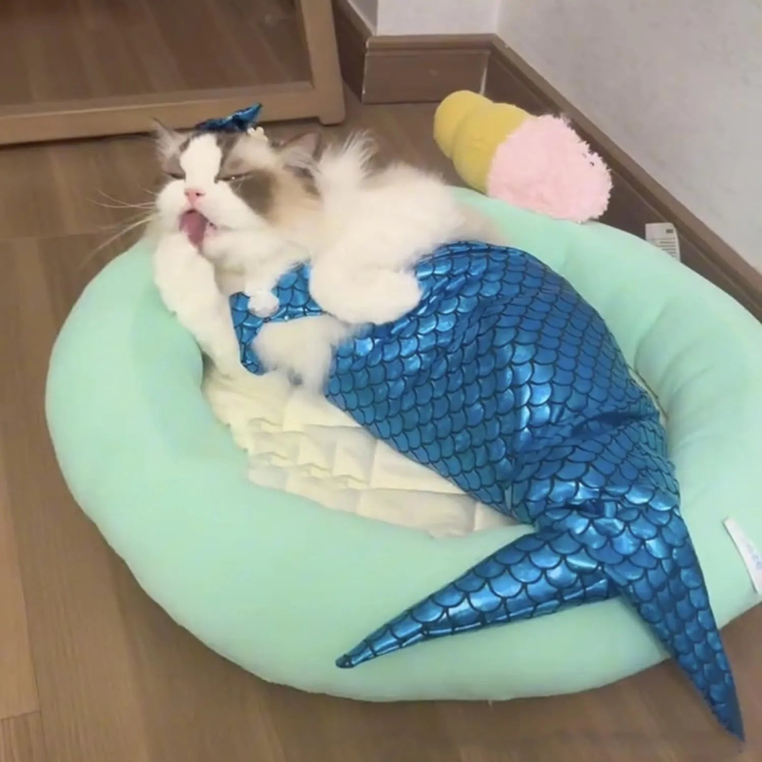 Blue pet mermaid costume with fish tail and elastic chest strap on small dog