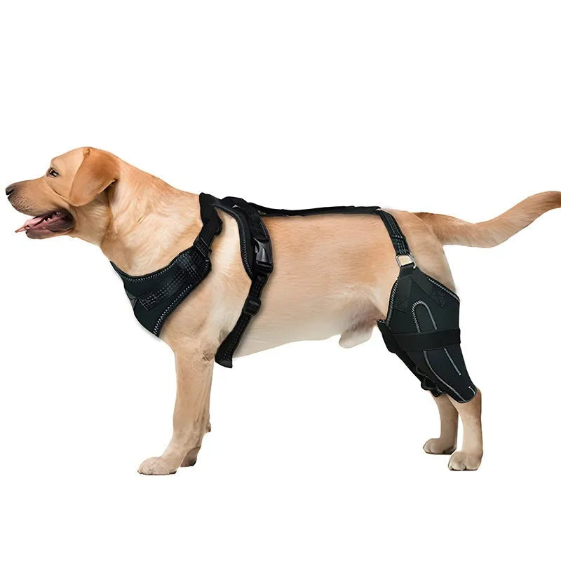 Black dog thigh protective sleeve with adjustable metal support and hook and loop fasteners
