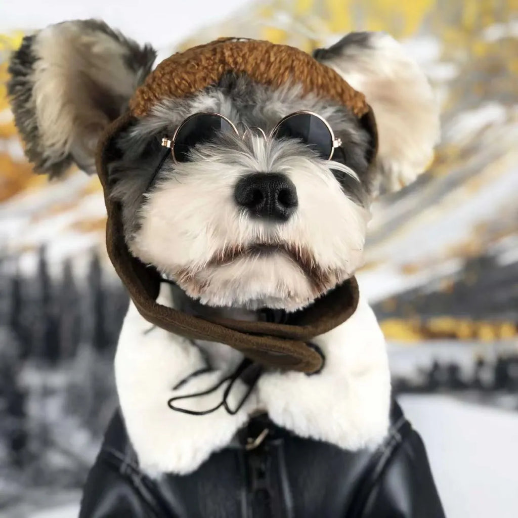Black leather dog jacket for a medium-sized dog during autumn.