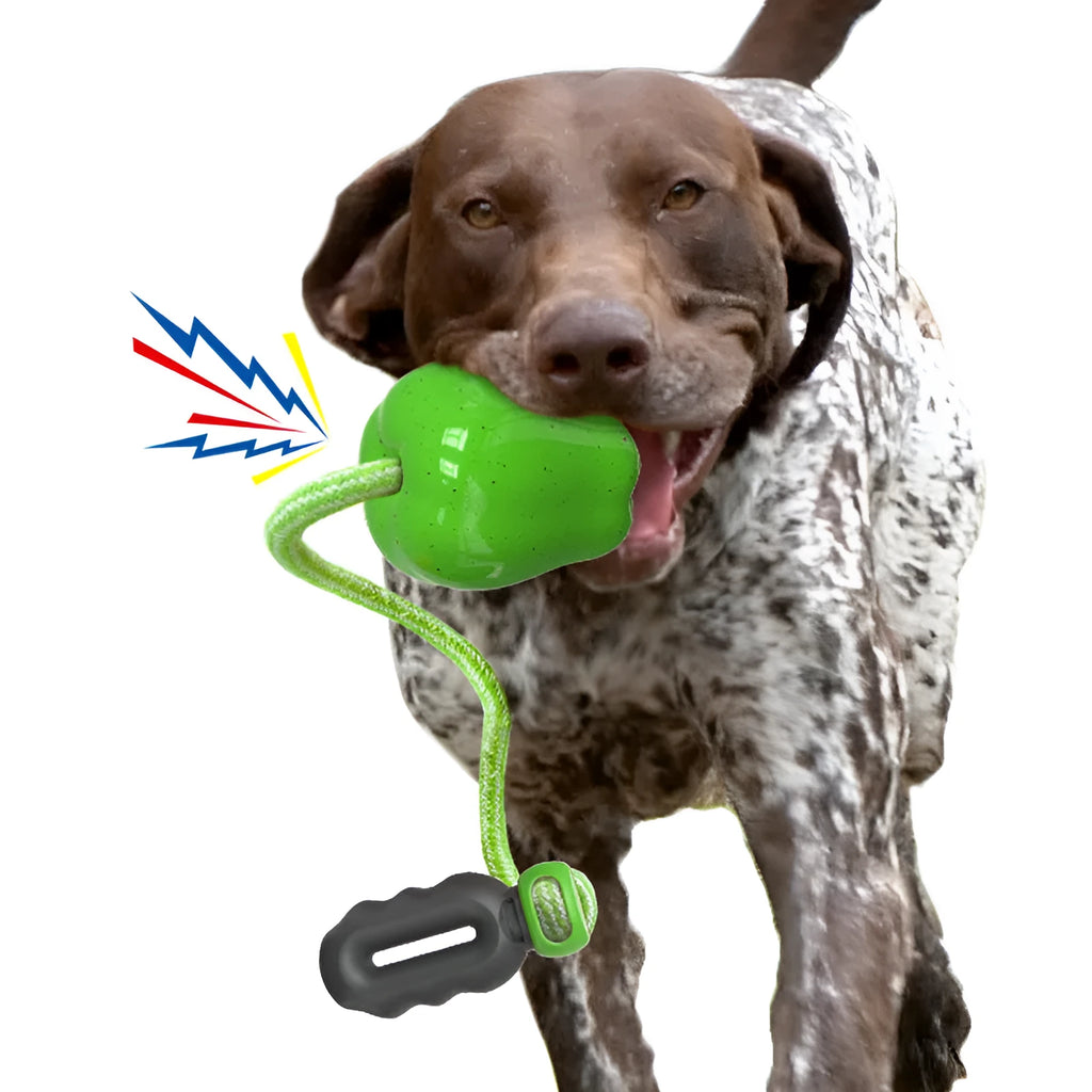 Green plastic dog toy shaped like an apple, functioning as a food-dropping ball and molar chew.