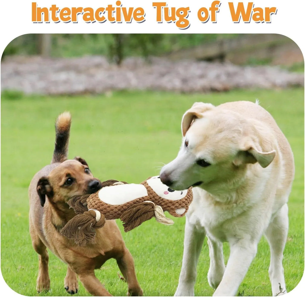 Two stuffed plush dog toys, a lion and a monkey, both featuring squeakers for interactive play.