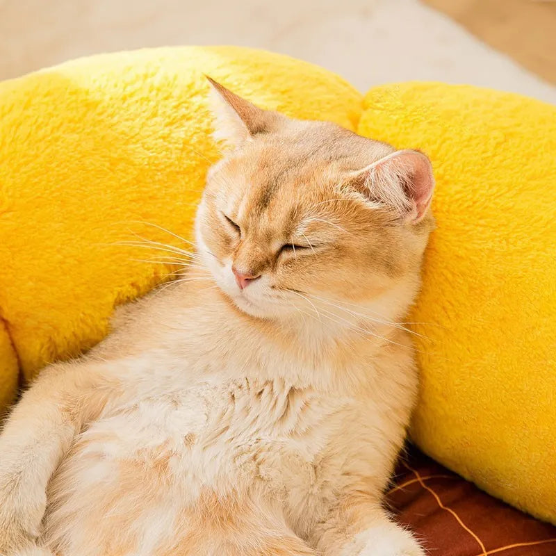 PV velvet cat nest cushion in green dinosaur pattern, shown in medium size.