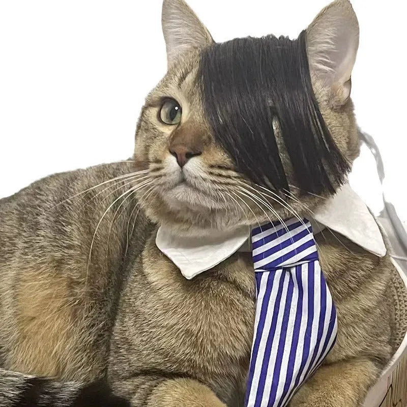 Black polyester cat wig with imitation braid styling for costume dress up