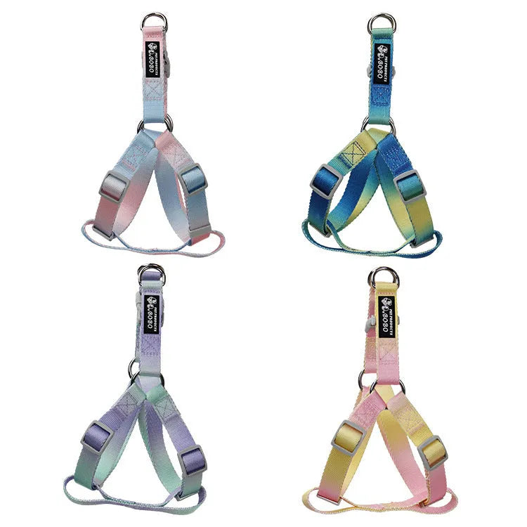 Gradient colour nylon dog leash set with collar or harness attachment options
