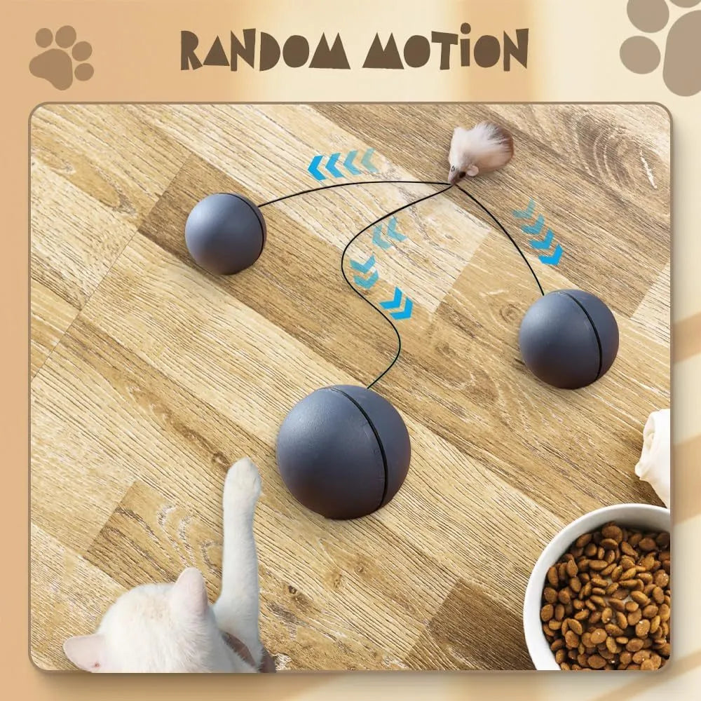 Automatic rolling interactive cat ball toy in grey and blue orange colour options