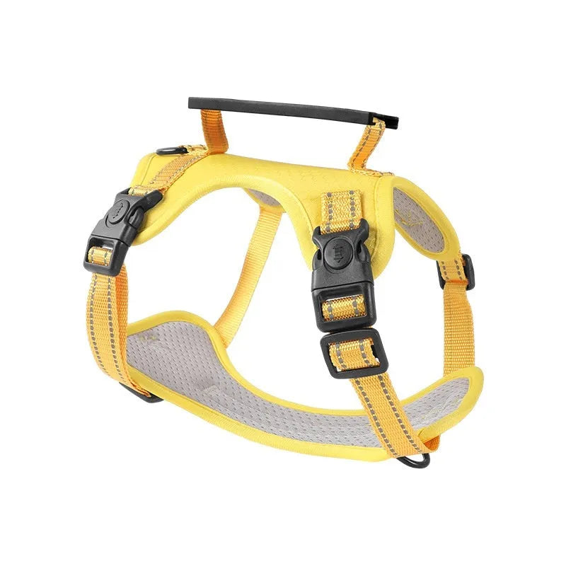 A dog wearing a blue adjustable chest harness with an attached lead, shown in a size large.