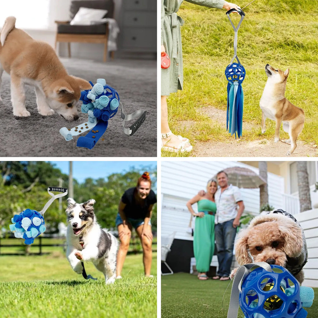 Colourful hollow TPR ball pet toy for dogs and cats with a bell inside