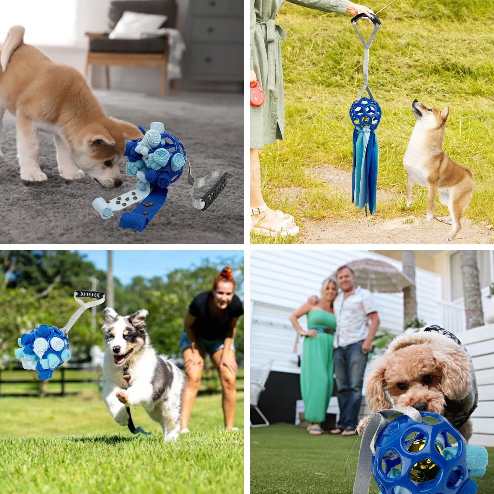 Colourful hollow TPR ball pet toy for dogs and cats with a bell inside