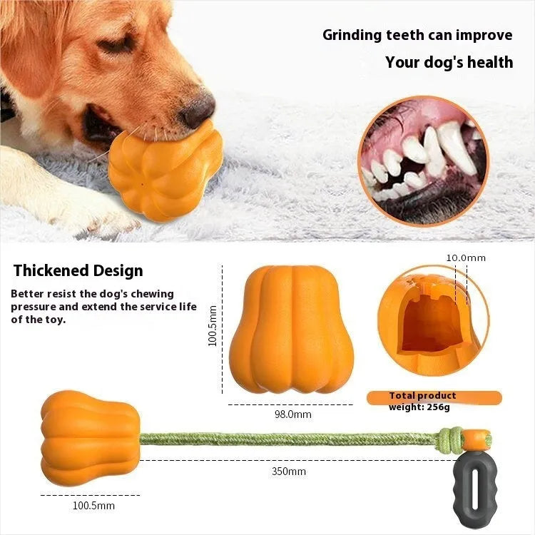 Orange Bite Molar plastic dog chew bone toy with an attached rope handle on grass.