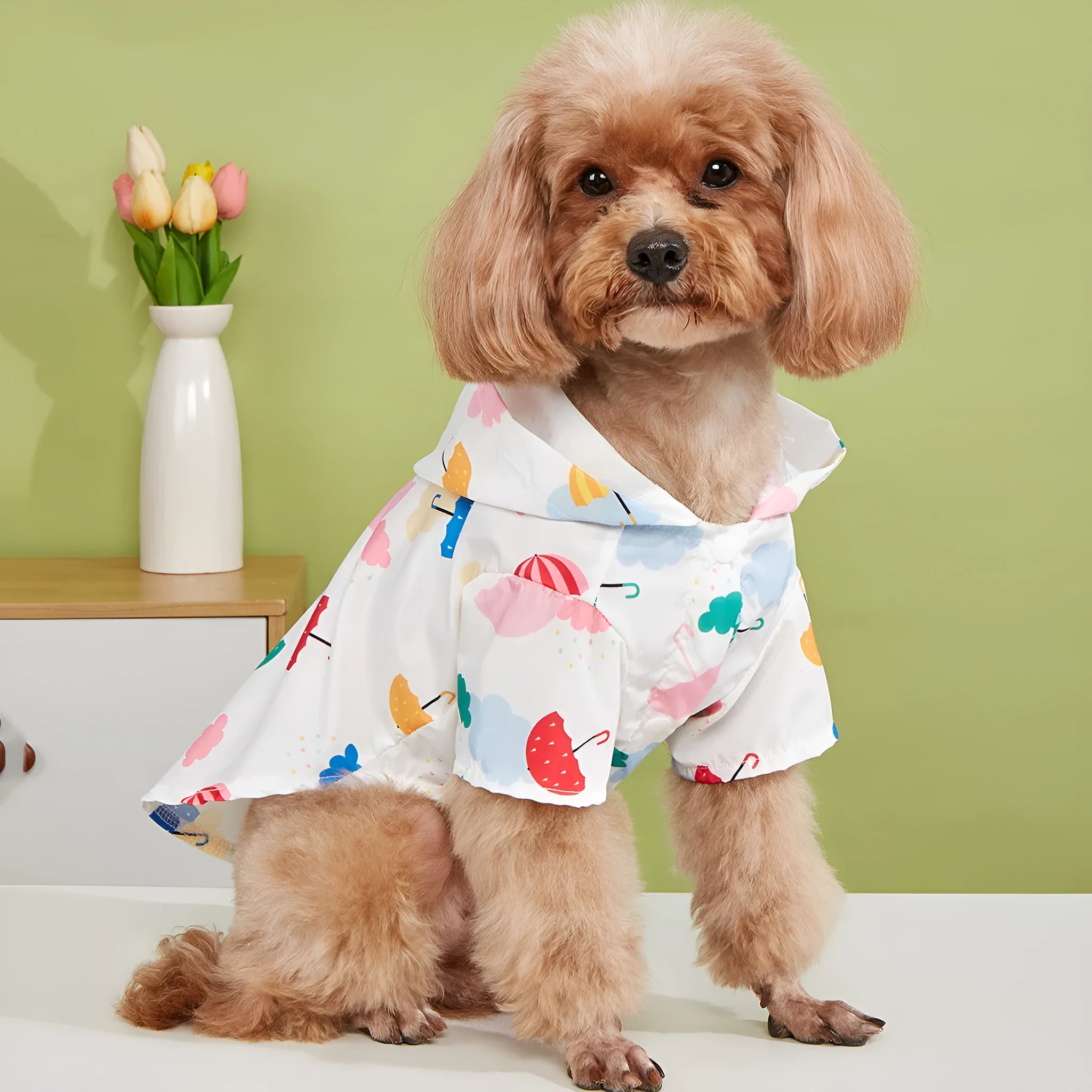 Colourful cartoon umbrella pattern polyester raincoat for a dog, sizes XS to XL.