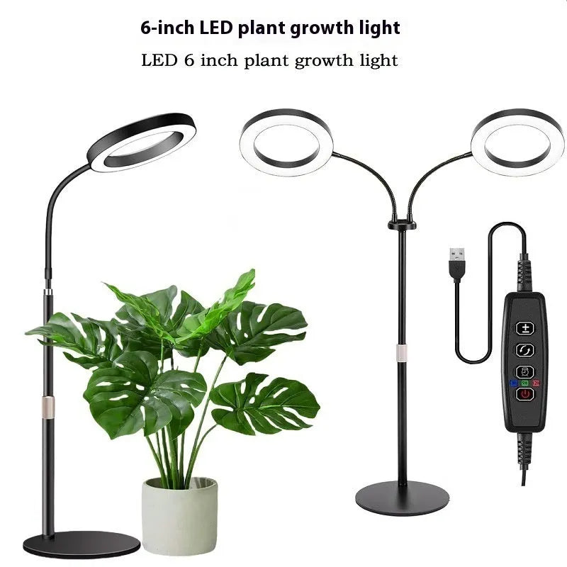 6-inch Angel Ring retractable floor plant grow light on a tall aluminium stand next to indoor houseplants.