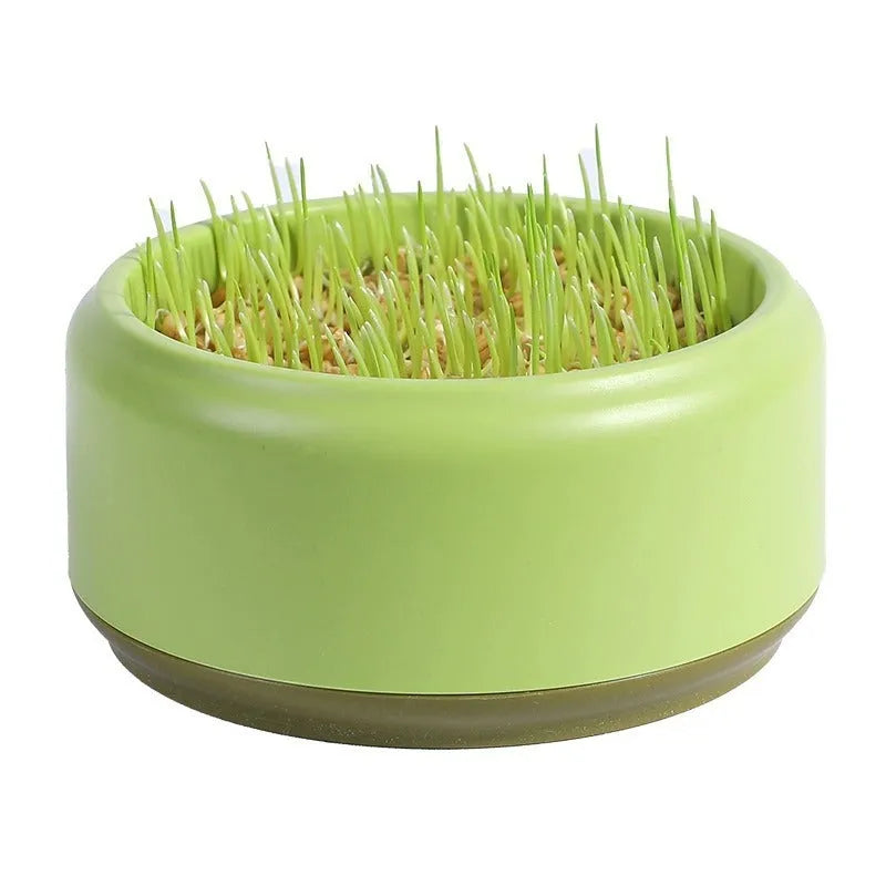 Hydroponic cat grass growing kit with blue, green, and yellow cup options and five seed packs.