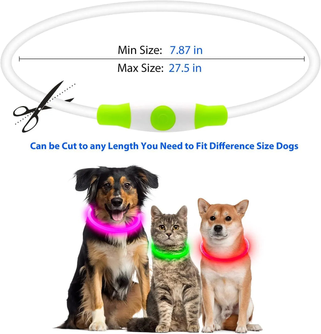 USB rechargeable LED dog collar glowing blue with adjustable TPU strap and ABS light housing