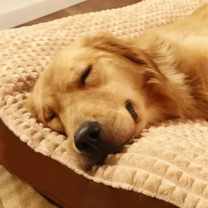 Soft fleece detachable pet blanket cushion bed for dogs and cats in coffee or green colour