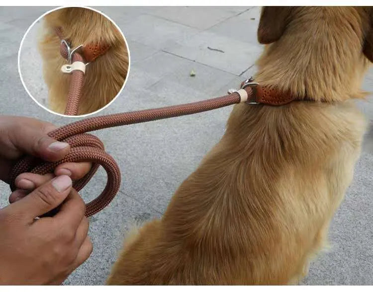 Brown nylon dog leash with a metal P-chain clip and a braided hand holding rope, shown at full 2.1 metre length.
