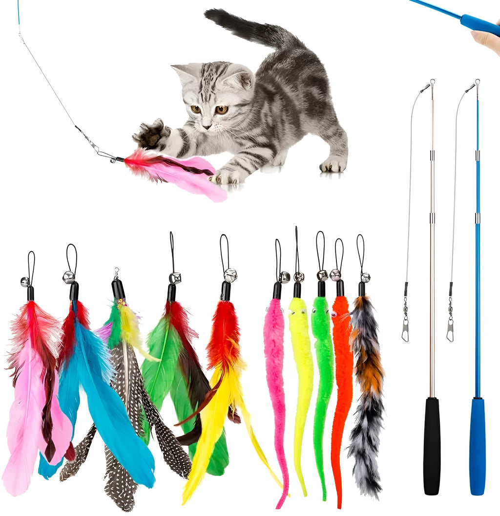 Cat teasing fishing rod set with two extendable poles and ten feather attachments